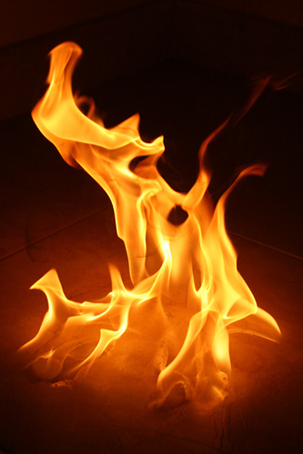 image dancing flames pollsbcom click 