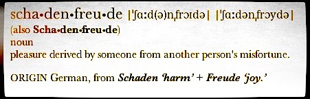 schadenfreude-Dictionary-flare.jpg