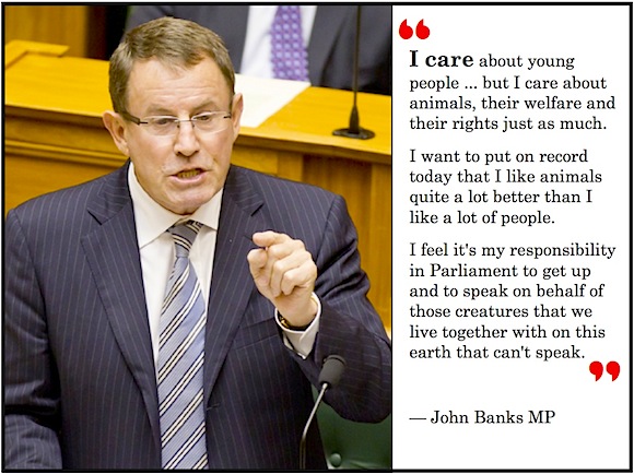 John Banks animals-care